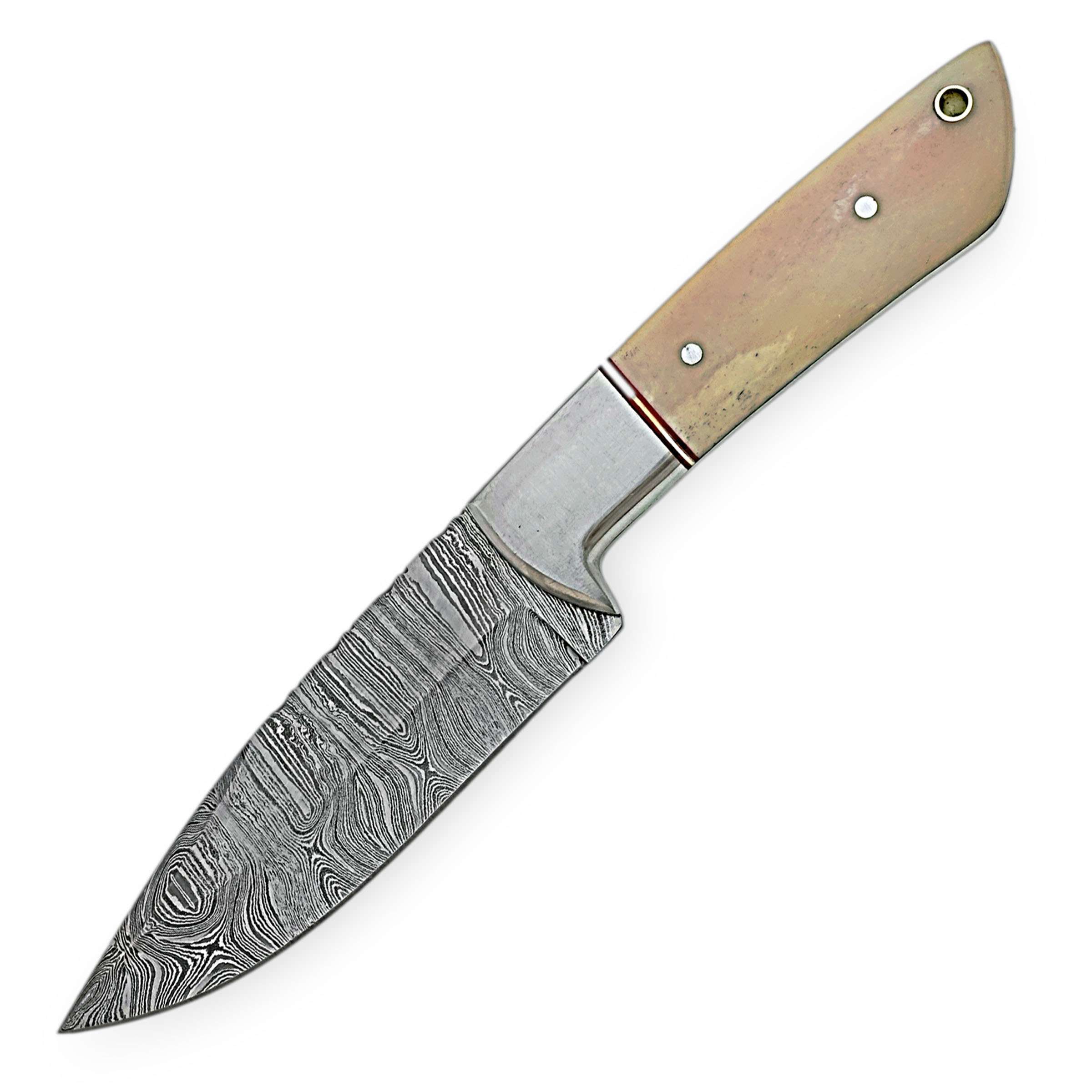 Damascus Steel Hunting Knife – Bone Grip Edition