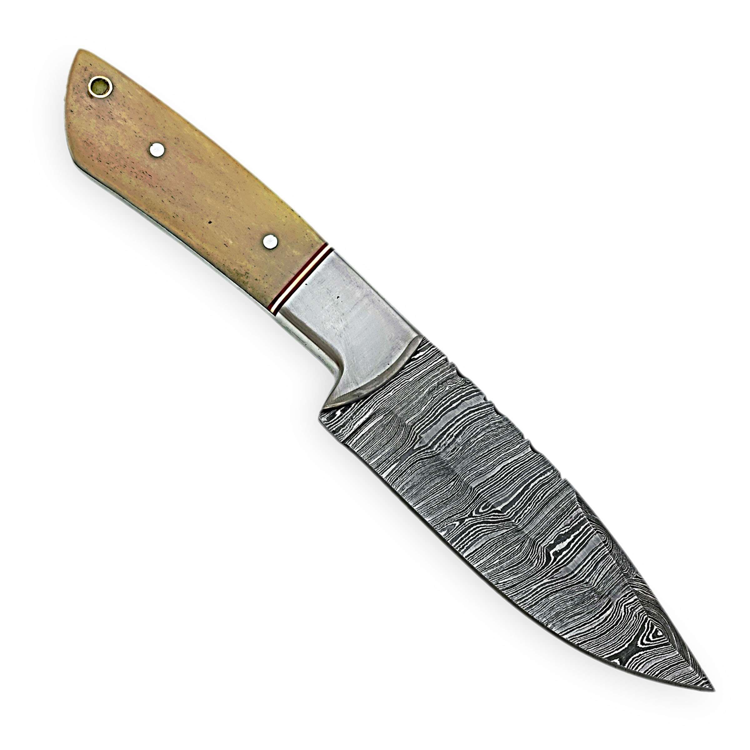 Damascus Steel Hunting Knife – Bone Grip Edition