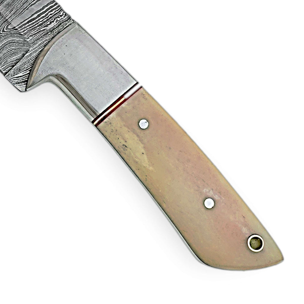 Damascus Steel Hunting Knife – Bone Grip Edition