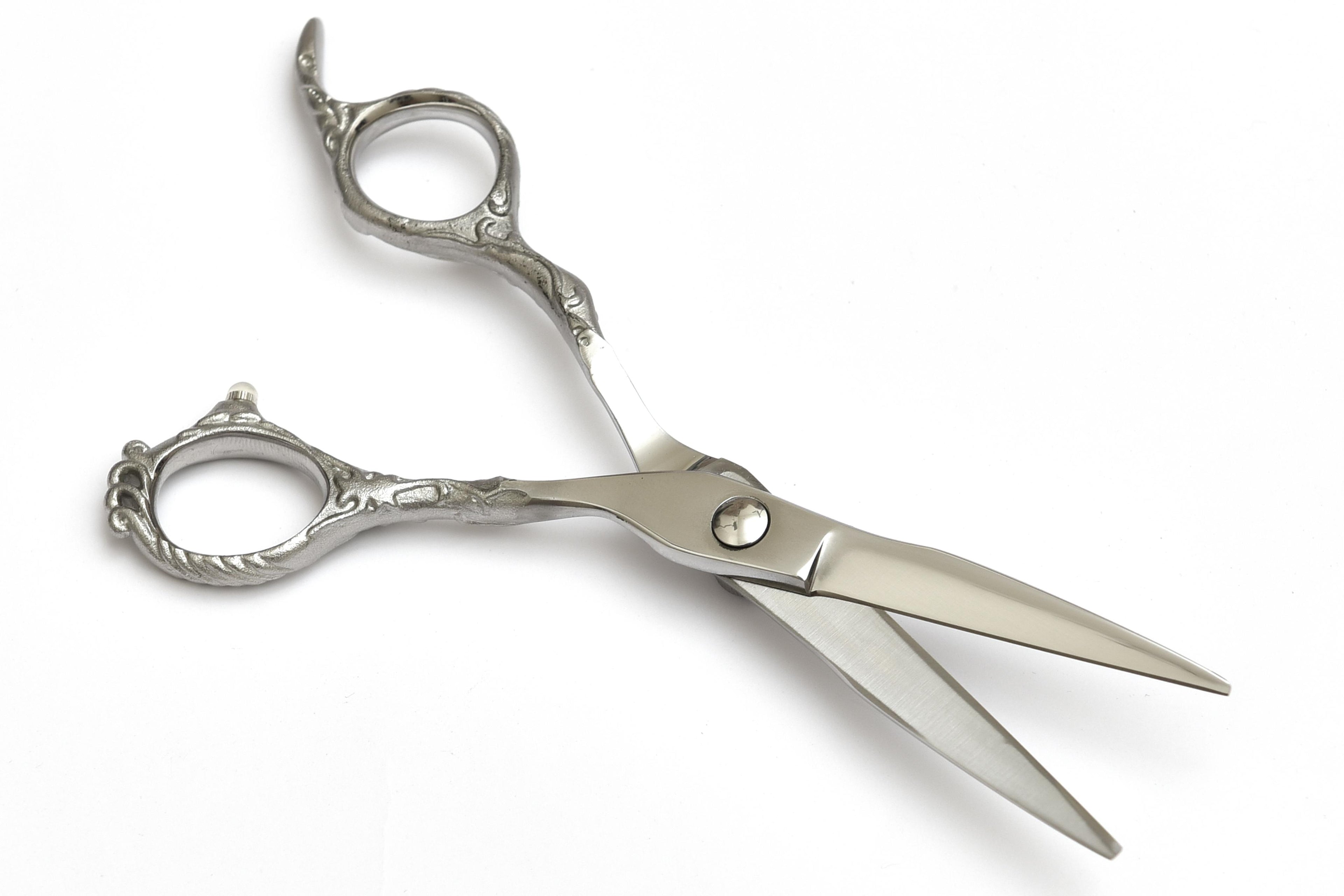Polished Silver Haircutting Scissors