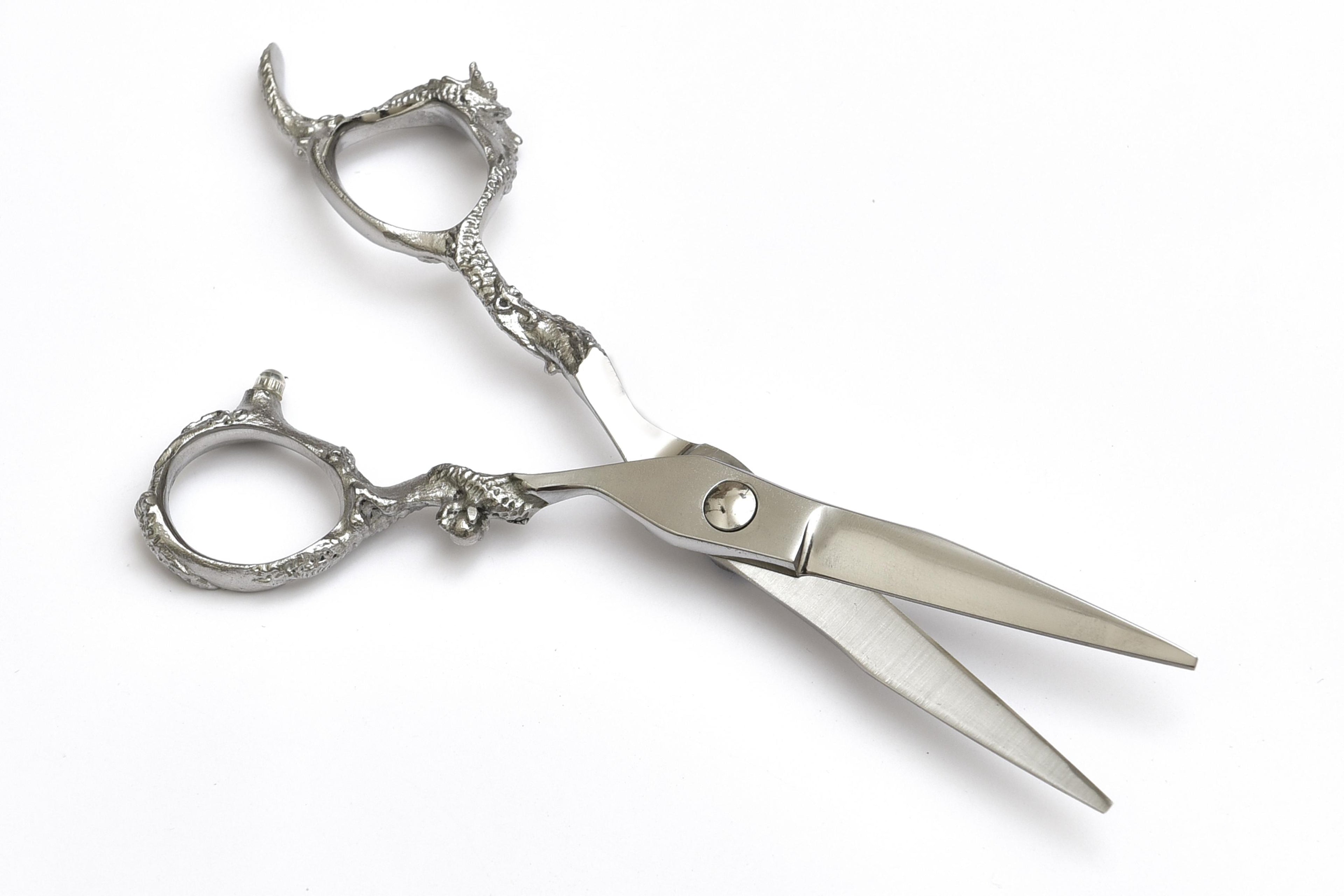 Brushed Nickel Haircutting Scissors