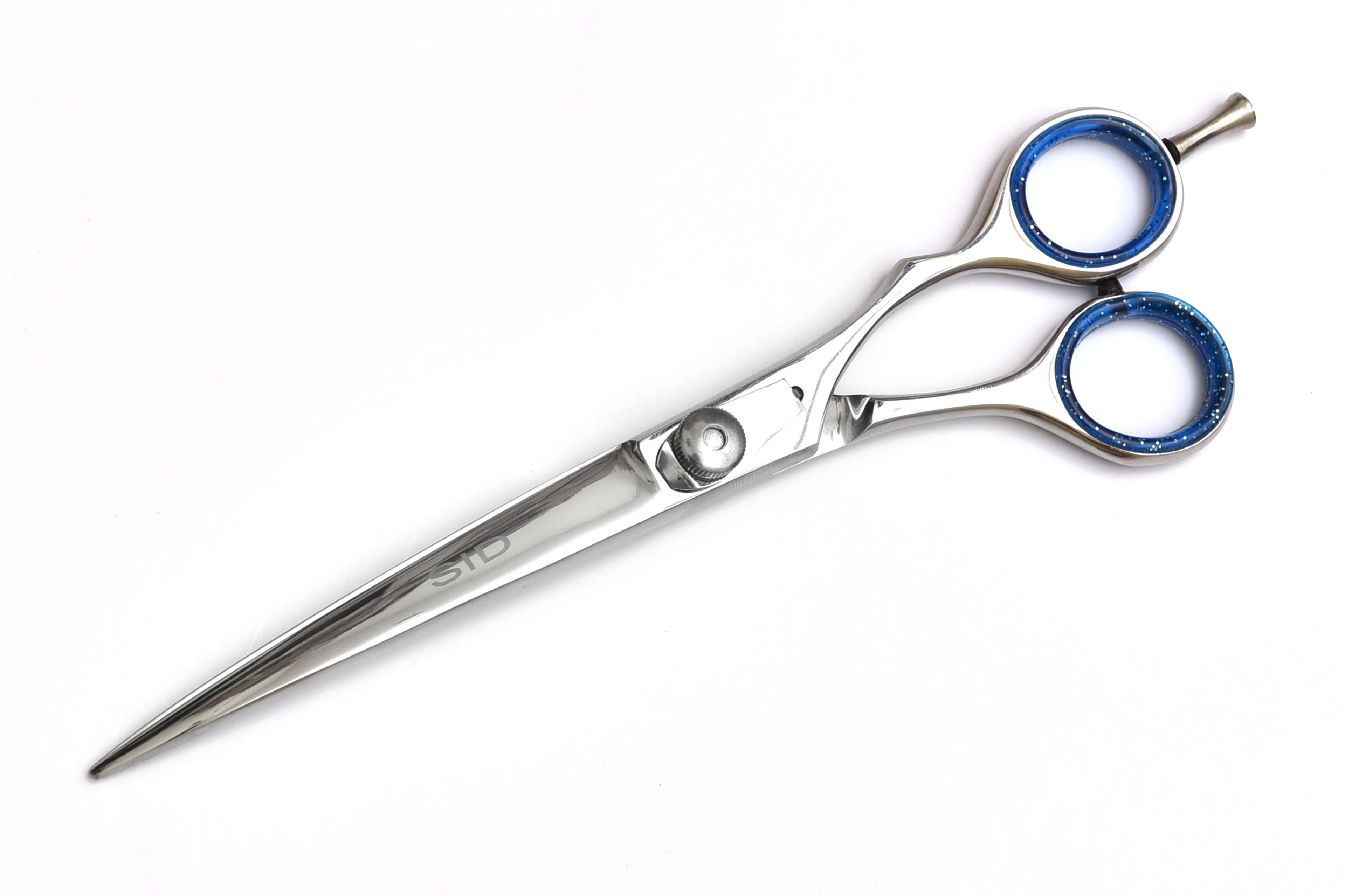 Premium Hair Cutting Scissors with Blue Handle Grips