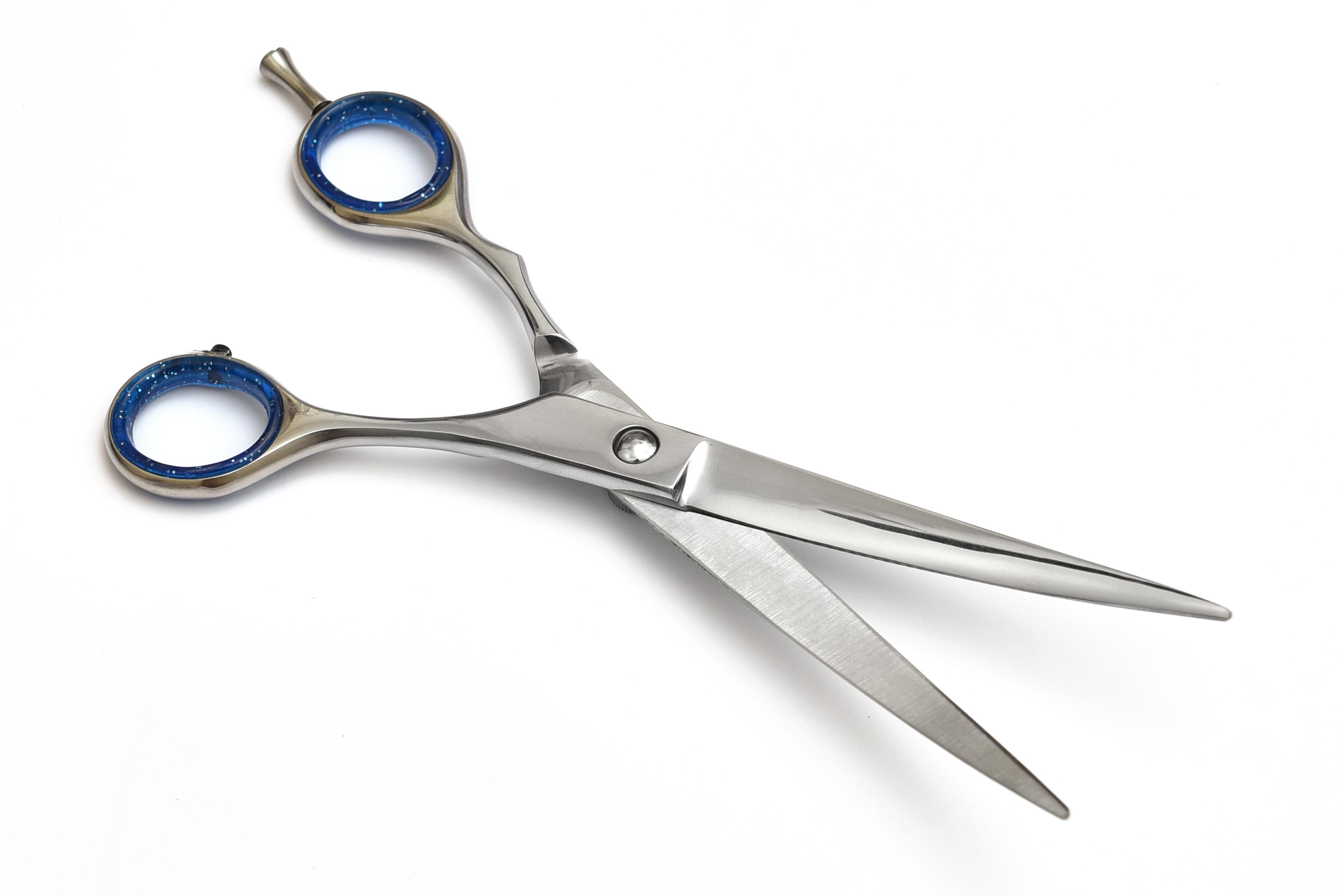 Premium Hair Cutting Scissors with Blue Handle Grips
