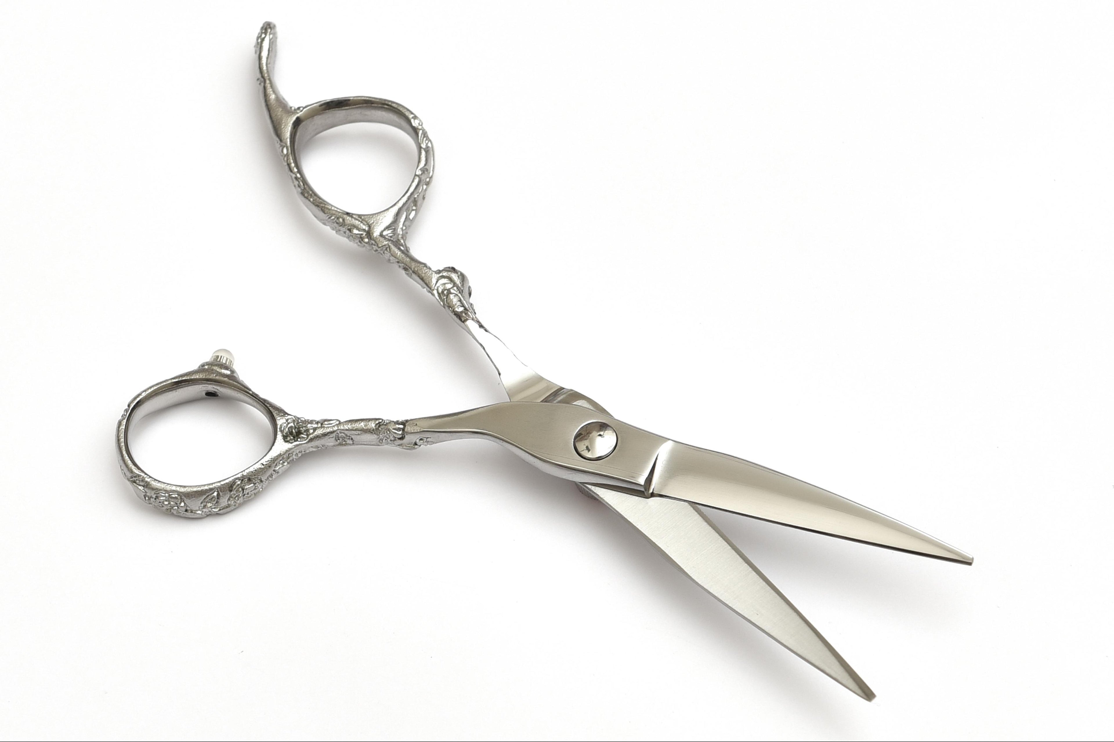 Elegant Silver Hair Shears with Red Jewel