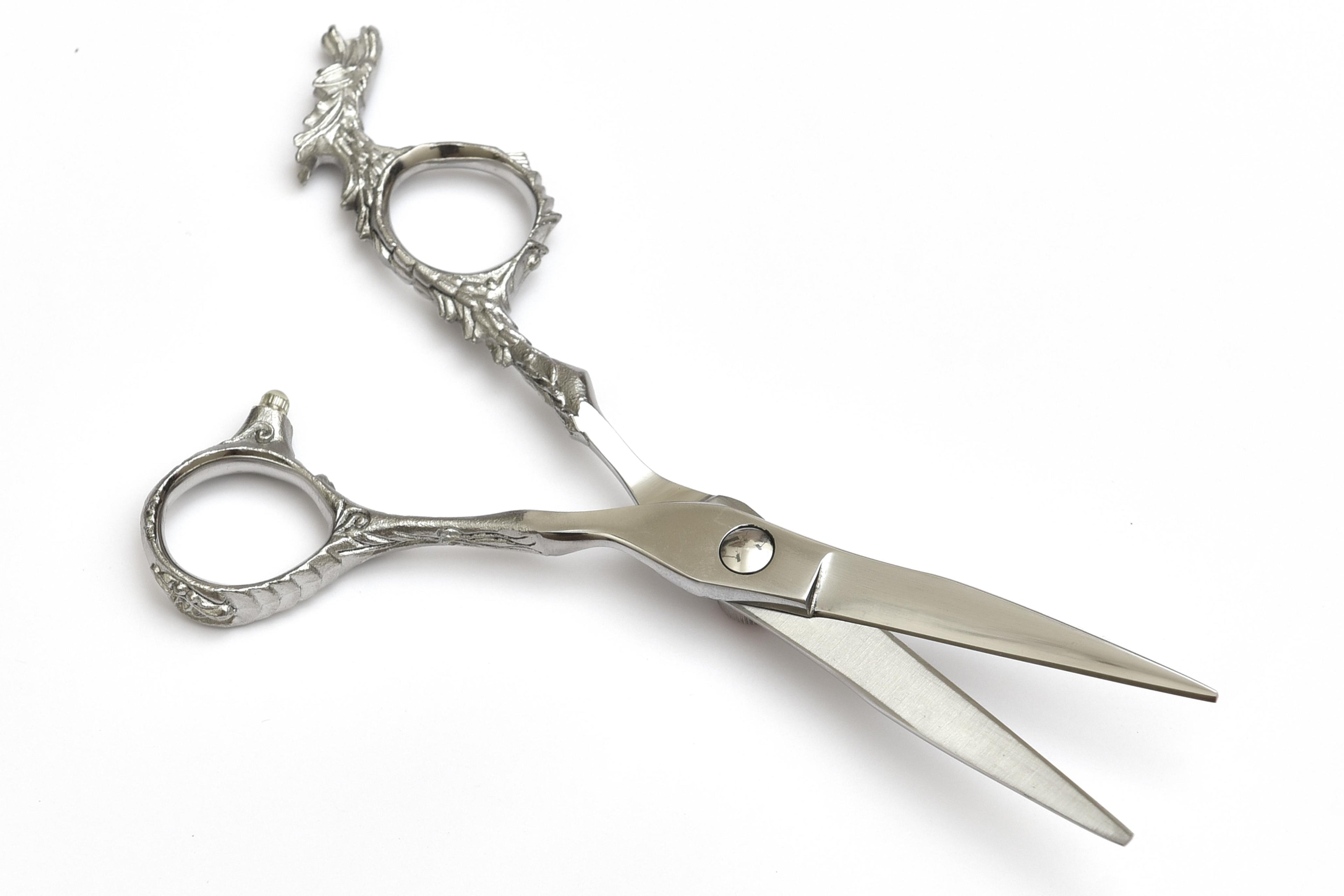 Ornate Silver Shears with Red Gem Leaf Handle